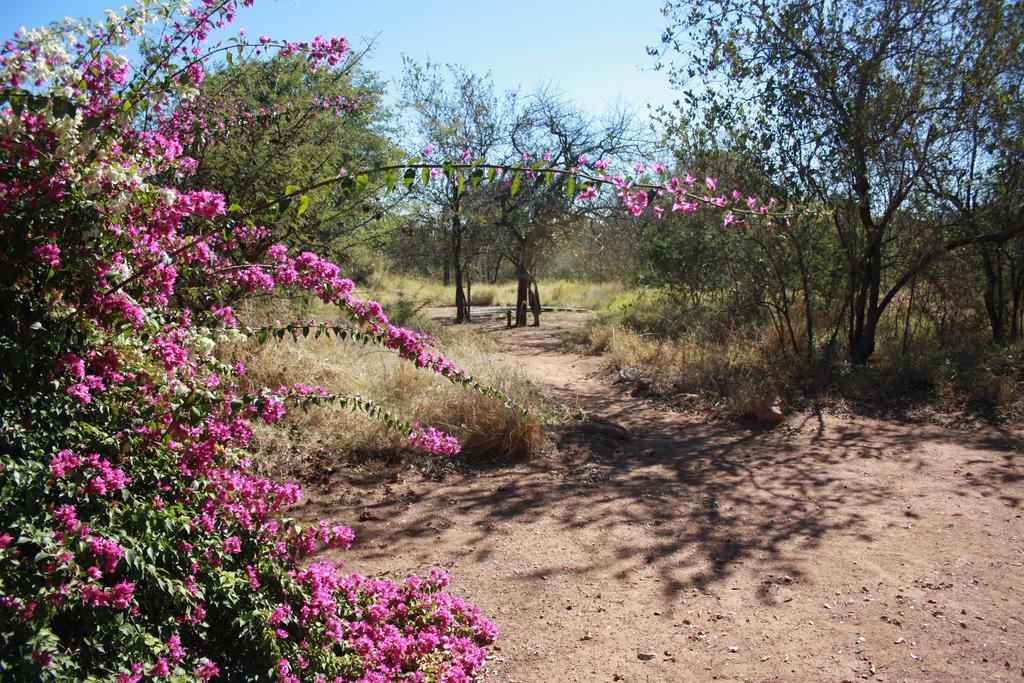 Normann Safari Bush Lodge Phalaborwa Kültér fotó