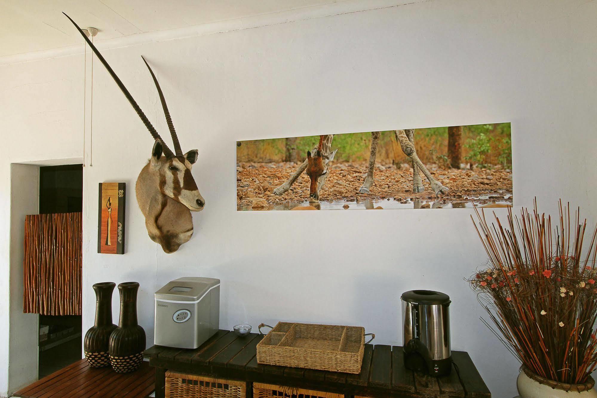 Normann Safari Bush Lodge Phalaborwa Kültér fotó